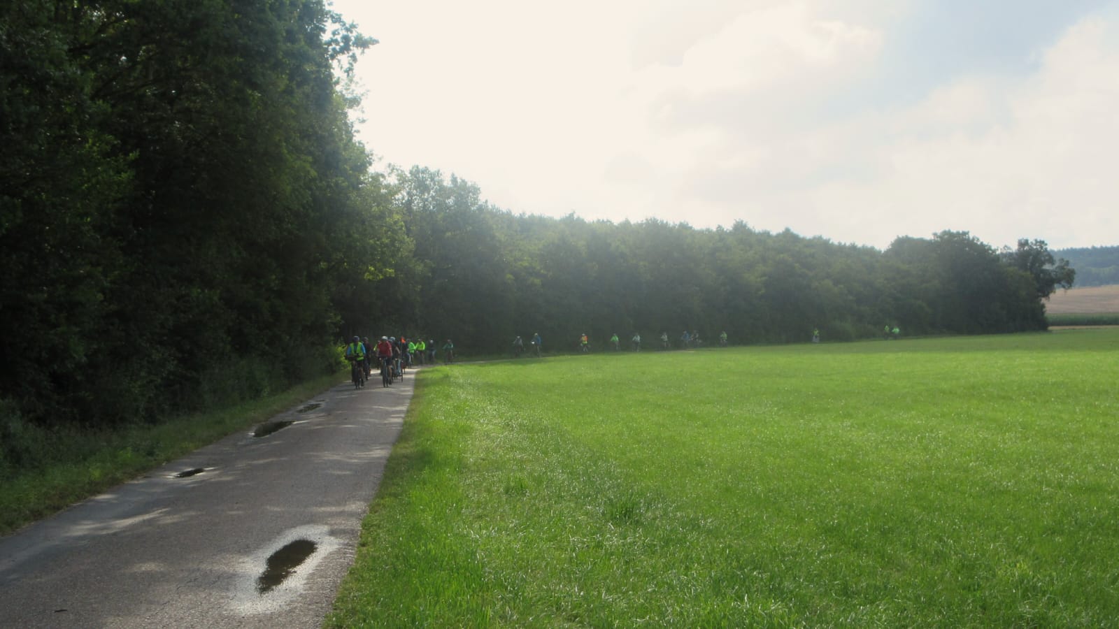 IMG-20240729-WA0015