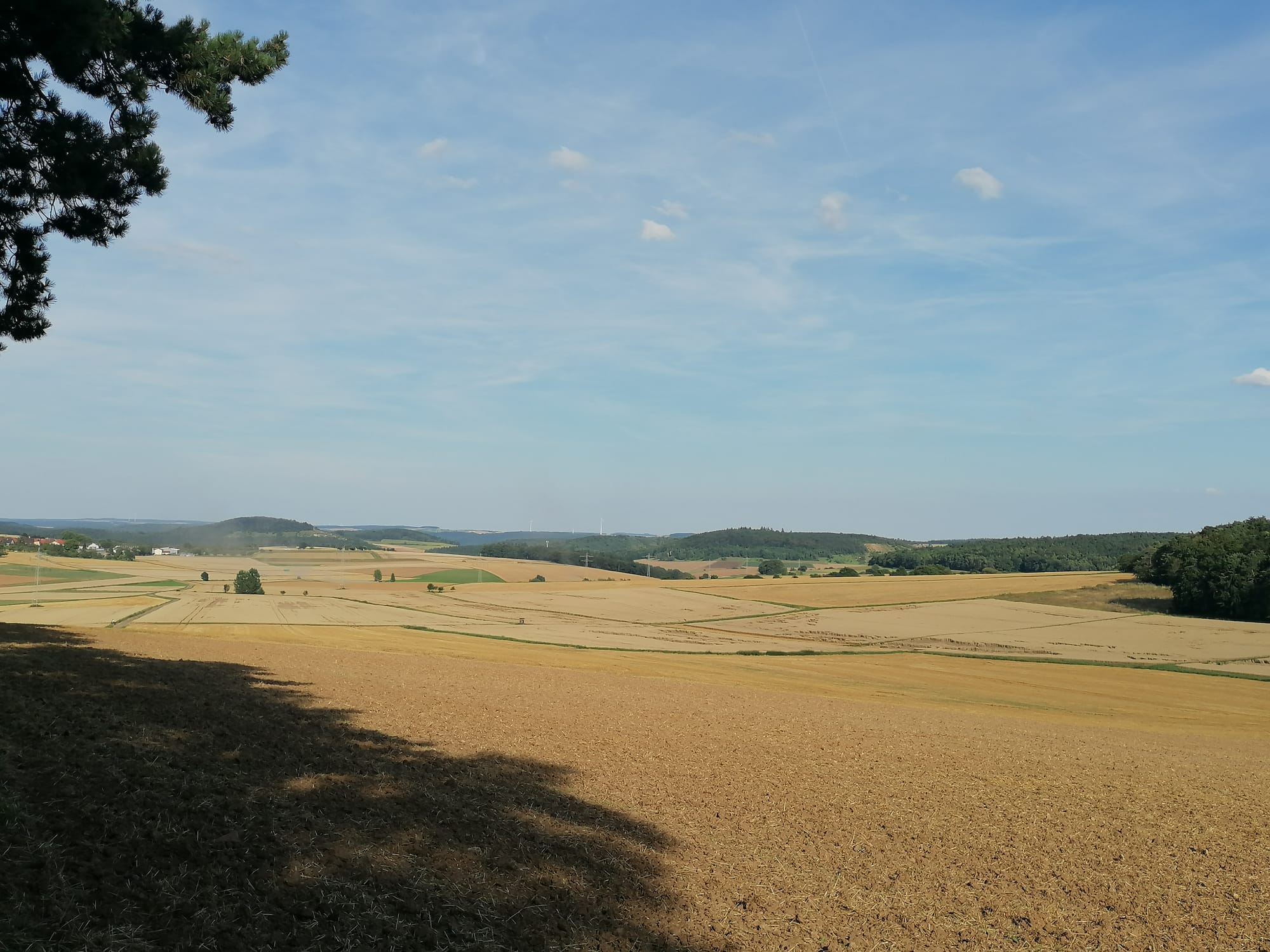 IMG-20240807-WA0003