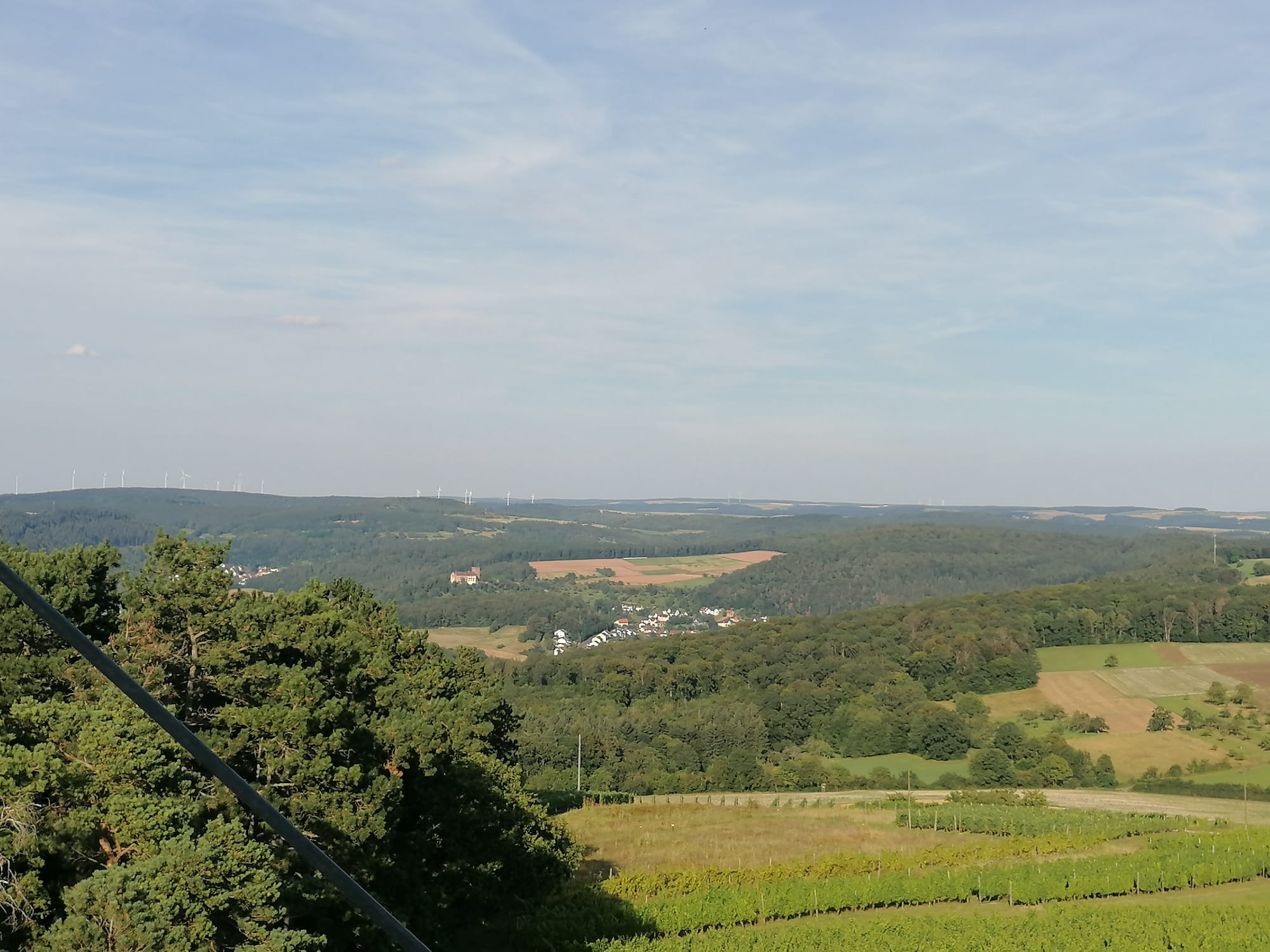 IMG-20240807-WA0004