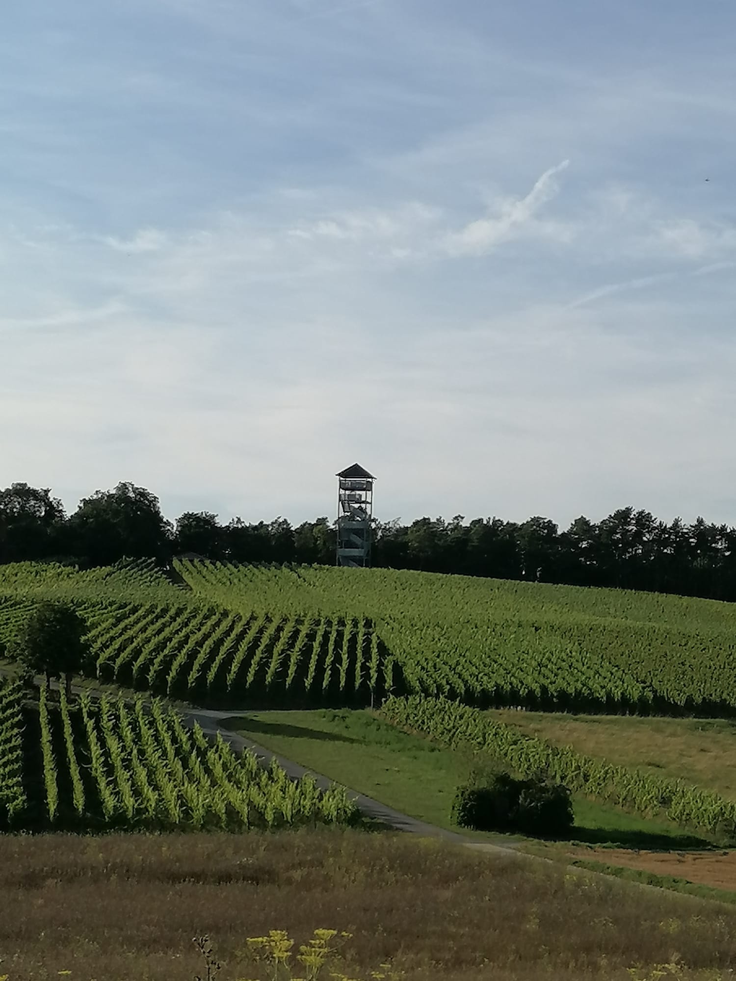 IMG-20240807-WA0009