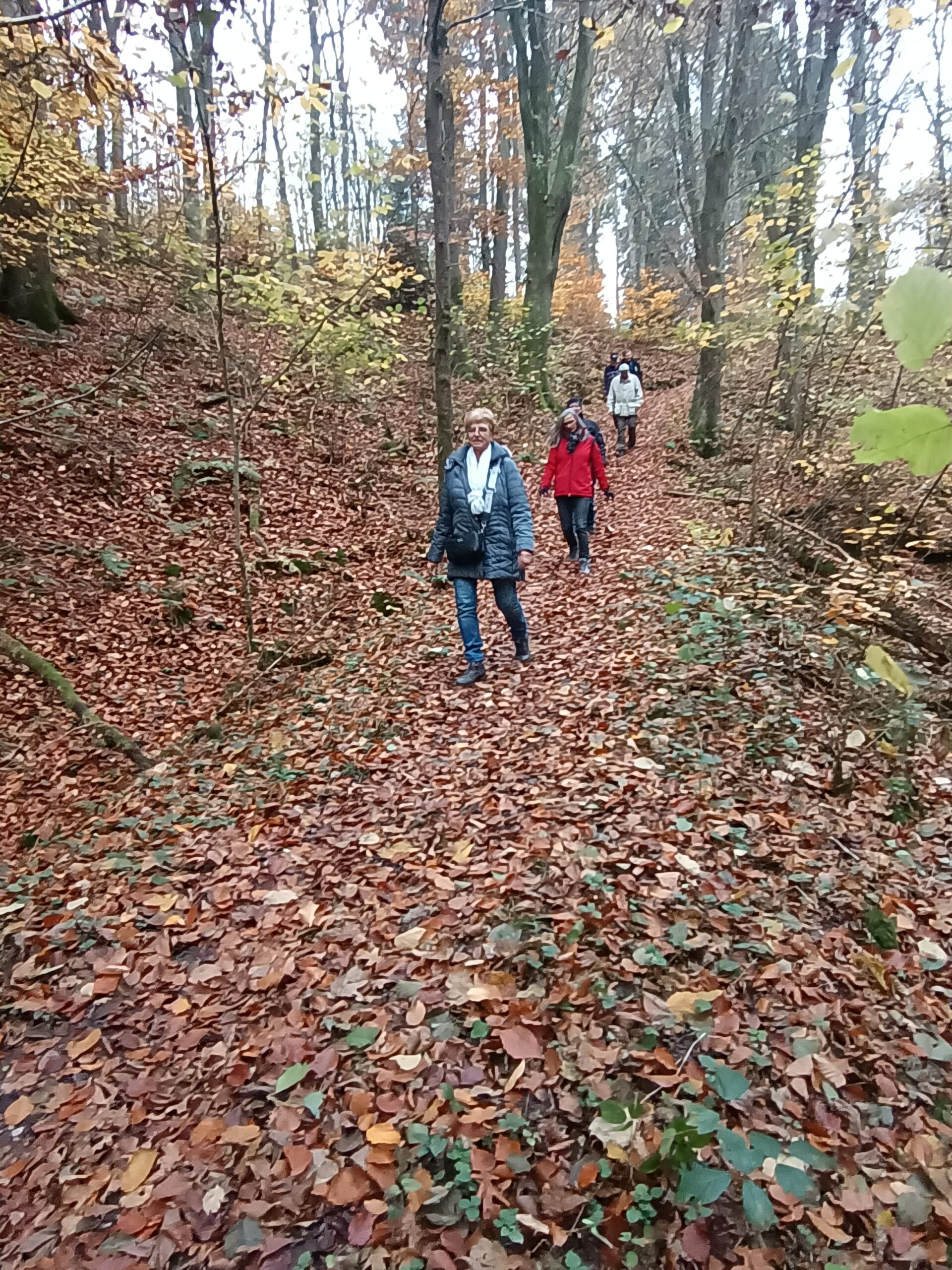 IMG_20241105_150649933